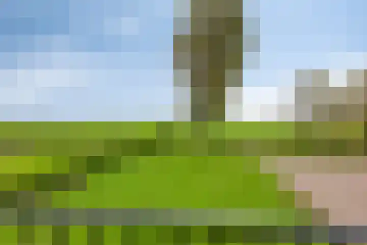 Noard 75 H Workum thumbnail 4