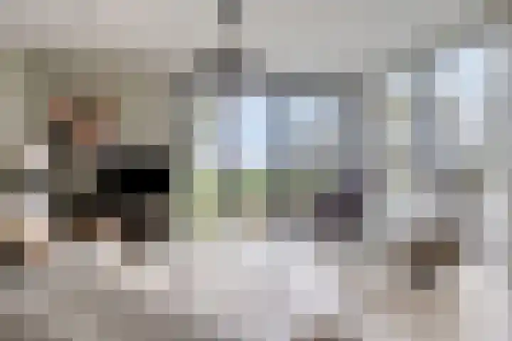 Noard 75 H Workum thumbnail 8