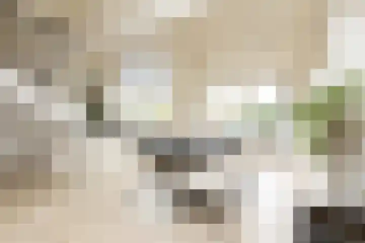 Noardein 91 Oppenhuizen thumbnail 10