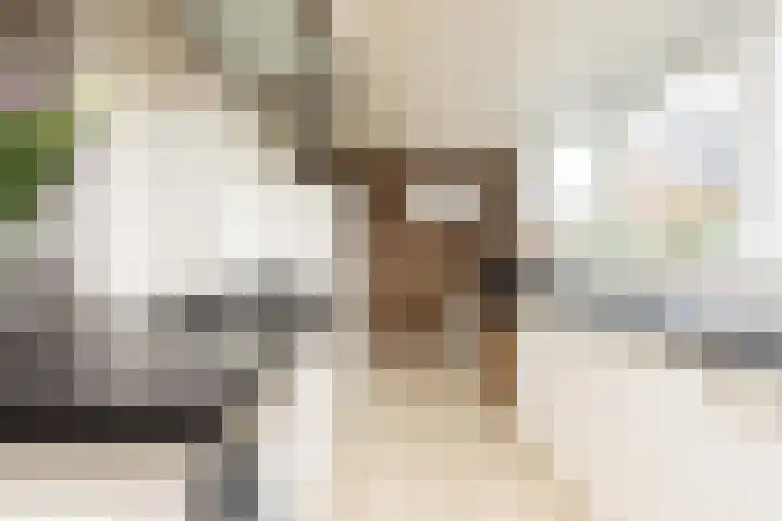 Noardein 91 Oppenhuizen thumbnail 12