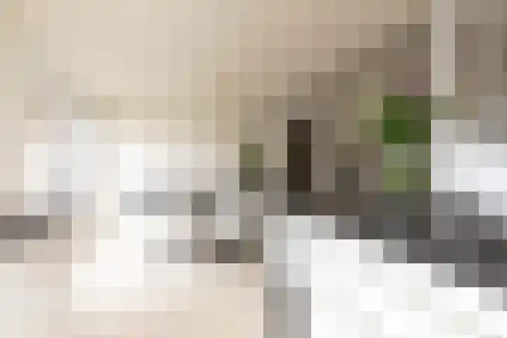 Noardein 91 Oppenhuizen thumbnail 14