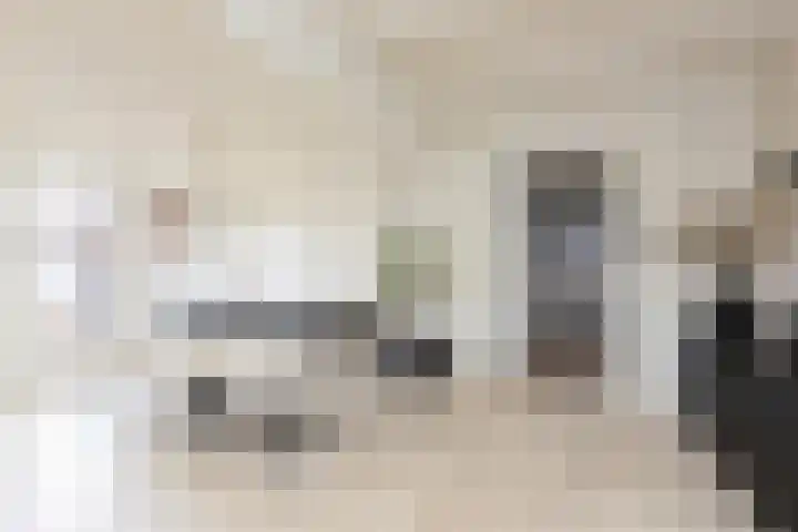 Noardein 91 Oppenhuizen thumbnail 16