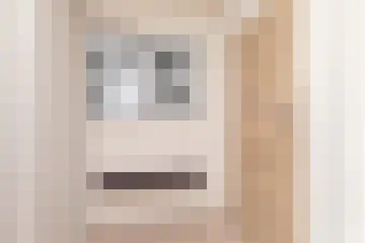 Noardein 91 Oppenhuizen thumbnail 17