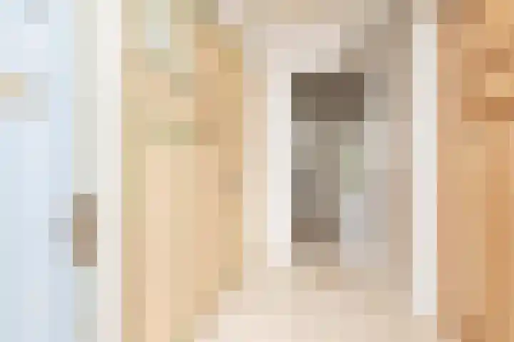 Noardein 91 Oppenhuizen thumbnail 21