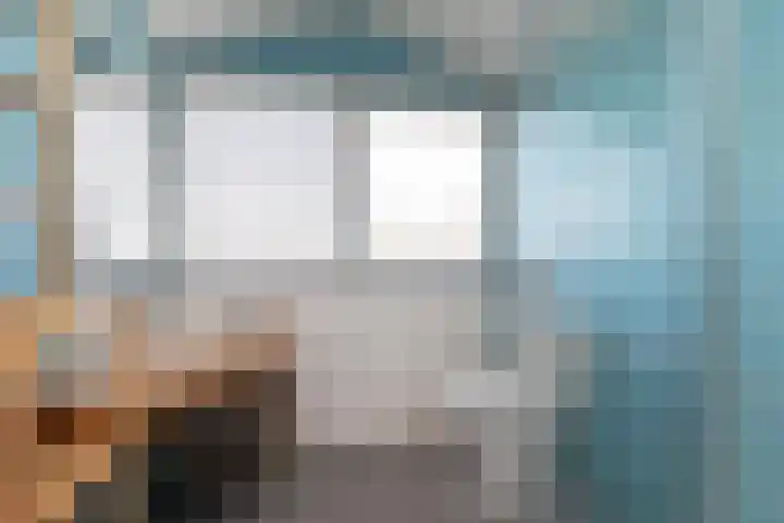 Noardein 91 Oppenhuizen thumbnail 25