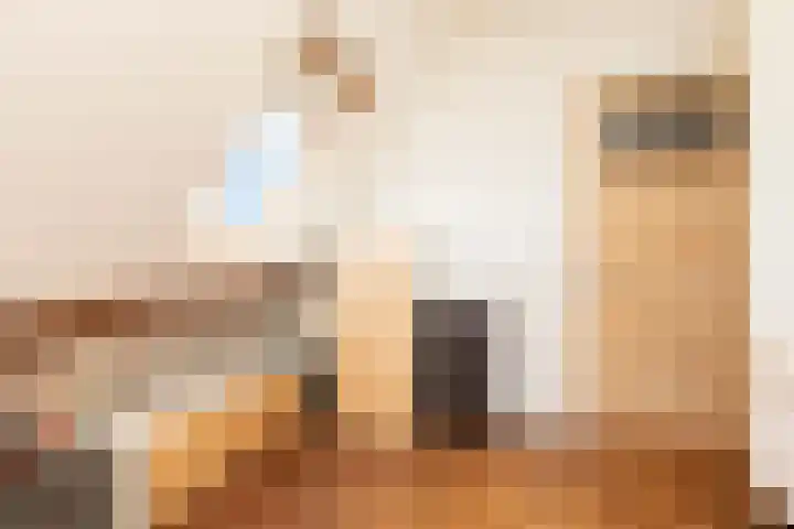 Noardein 91 Oppenhuizen thumbnail 31