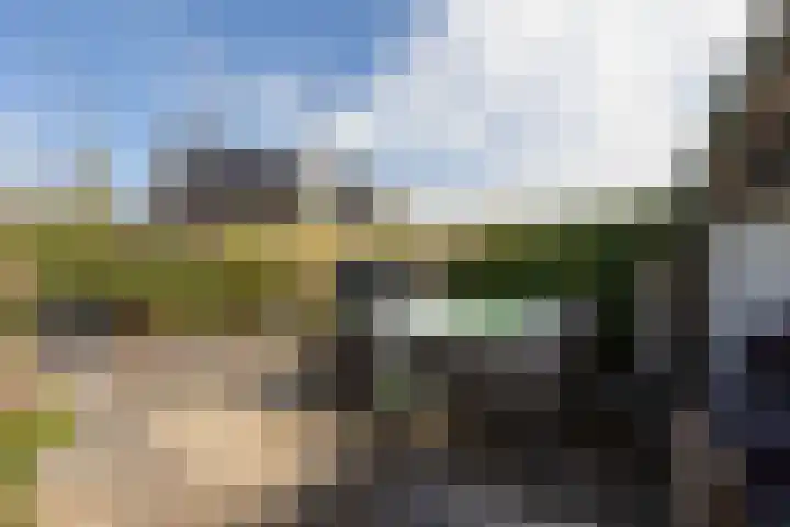 Noardein 91 Oppenhuizen thumbnail 35