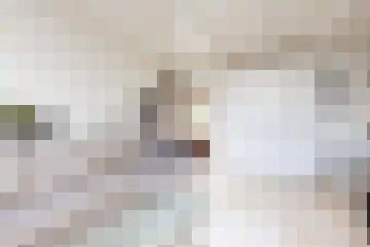 Noardein 91 Oppenhuizen thumbnail 4