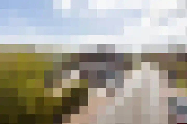 Noardein 91 Oppenhuizen thumbnail 41