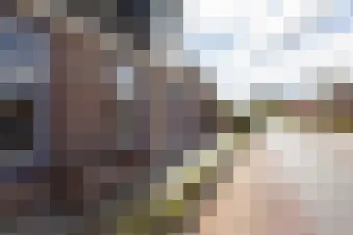 Noardein 91 Oppenhuizen thumbnail 42