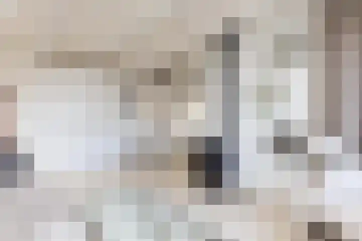Noardein 91 Oppenhuizen thumbnail 6