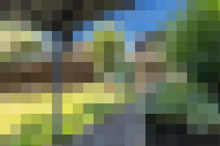 Noarderwei 10 Nes foto 2