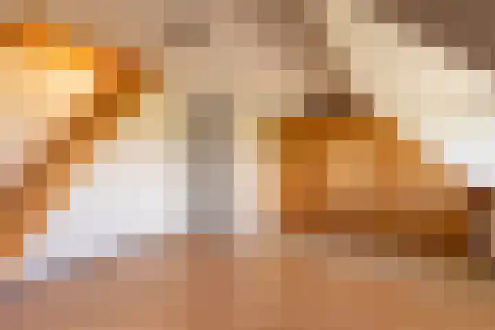 Noarderwei 10 Nes thumbnail 25