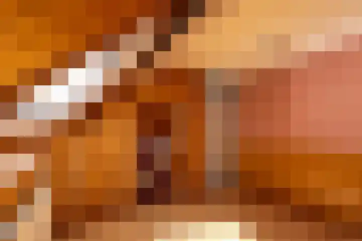 Noarderwei 10 Nes thumbnail 31