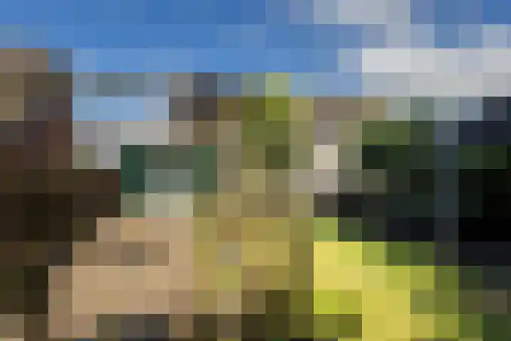Noarderwei 10 Nes thumbnail 37