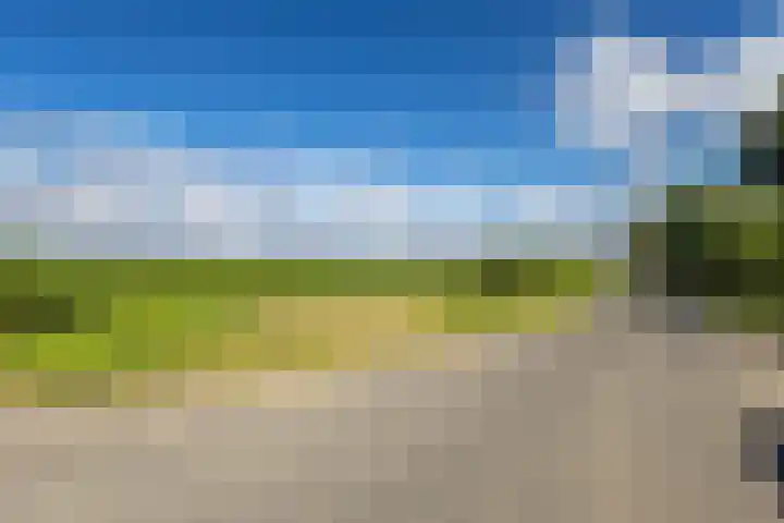 Noarderwei 10 Nes thumbnail 41