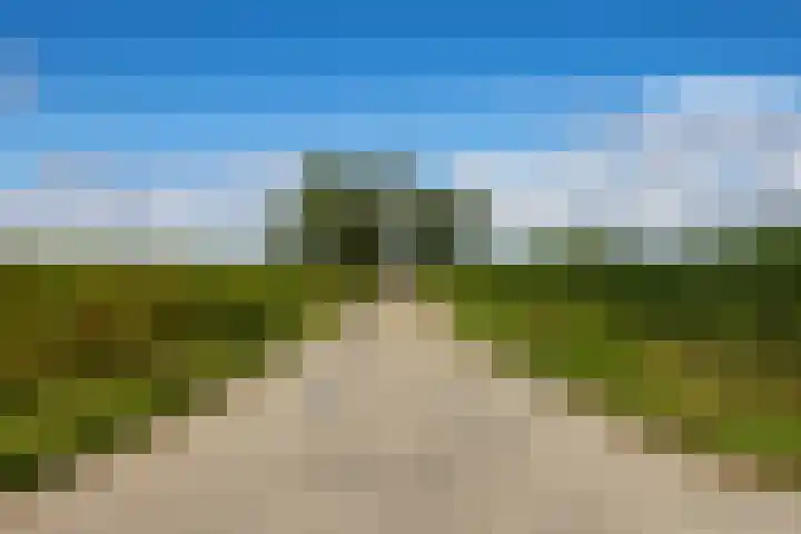 Noarderwei 10 Nes thumbnail 42