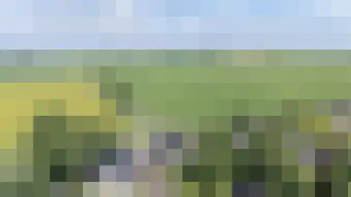 Noarderwei 10 Nes thumbnail 48