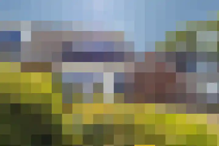 Noarderwei 10 Nes thumbnail 6