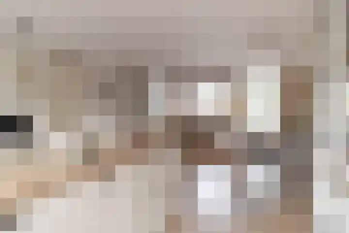 Noardwâl 9 Balk thumbnail 12