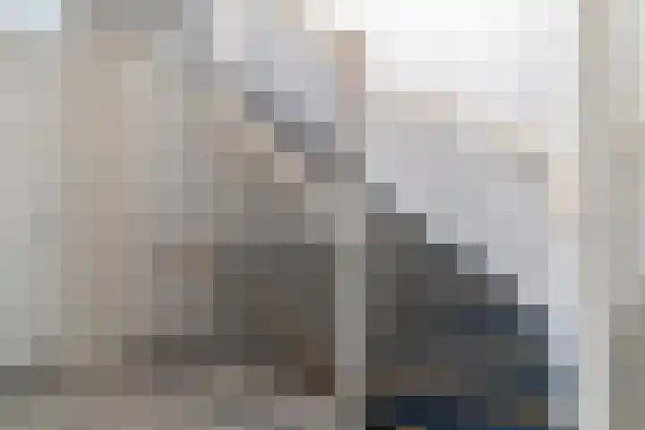 Noardwâl 9 Balk thumbnail 24