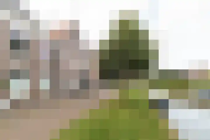 Noardwâl 9 Balk thumbnail 4