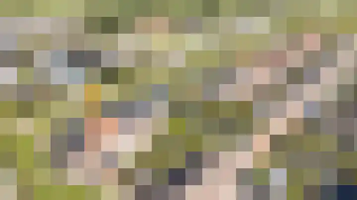 Noardwâl 9 Balk thumbnail 49