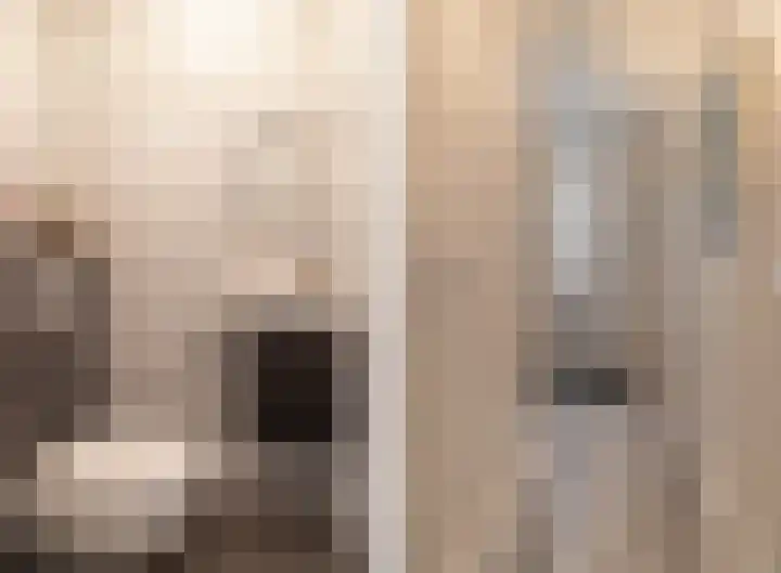 Noardwâl 9 Balk thumbnail 5