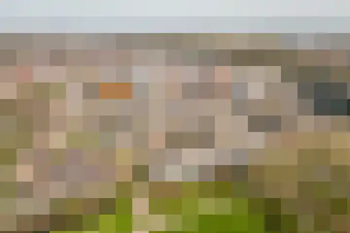 Noardwei 7 Sneek thumbnail 32