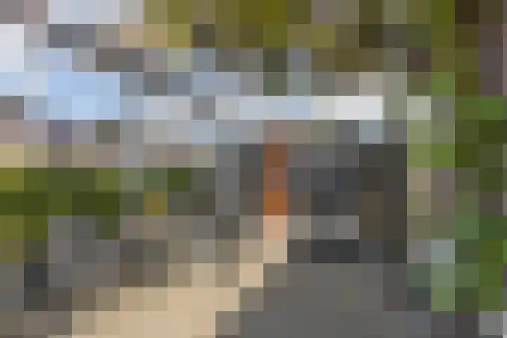 Noardwei 7 Sneek thumbnail 50
