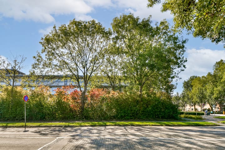 Nobel 15 in Mijdrecht foto