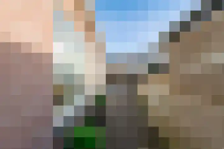 Nobellaan 106 Assen thumbnail 21
