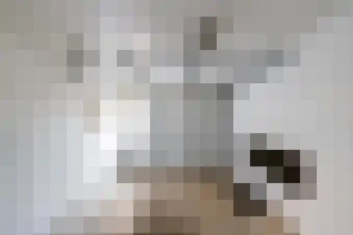 Nobellaan 106 Assen thumbnail 38