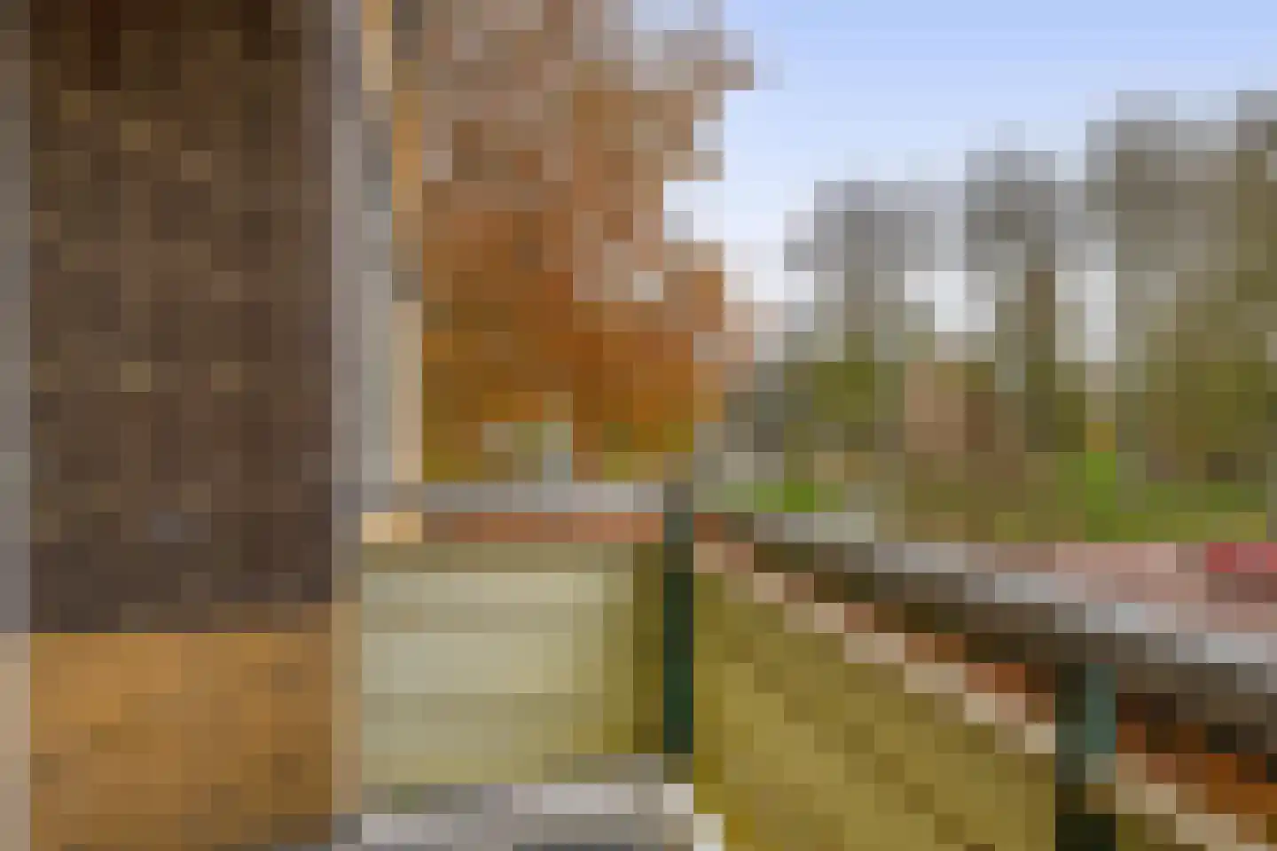 Nobellaan 32 Pijnacker thumbnail 18
