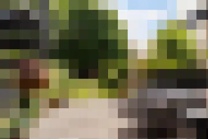 Nobellaan 32 Pijnacker thumbnail 19