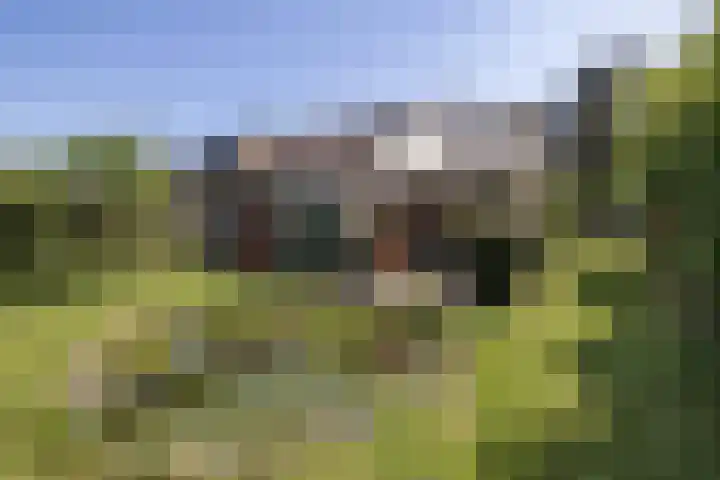 Nobellaan 32 Pijnacker thumbnail 39