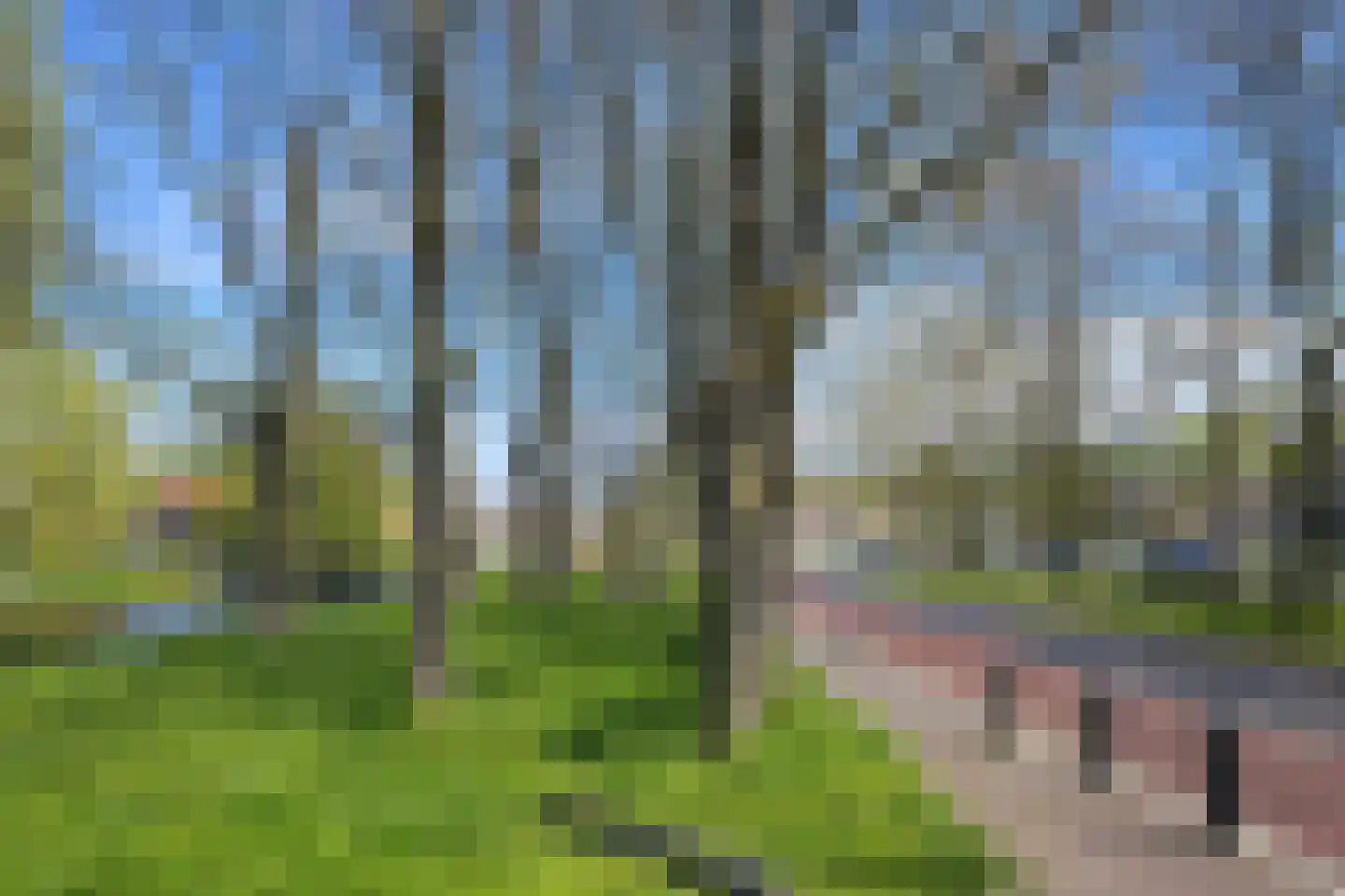 Nobellaan 32 Pijnacker thumbnail 7