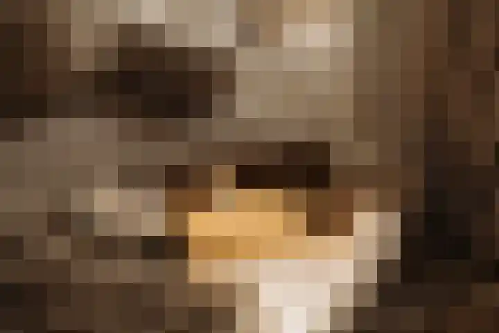 Nobellaan 43 Pijnacker thumbnail 29