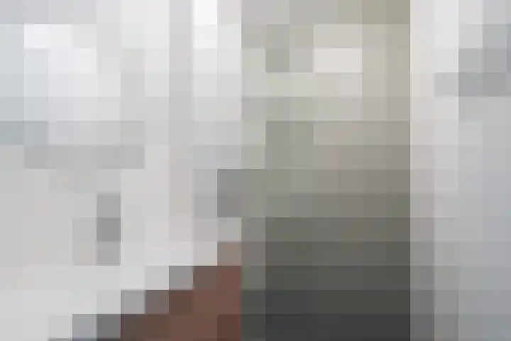 Nobellaan 43 Pijnacker foto 3