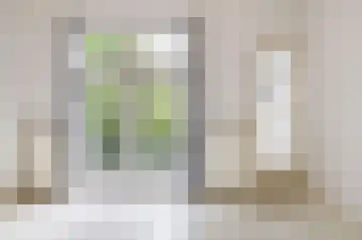 Nobelstraat 37 Brielle thumbnail 21