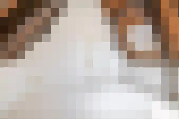 Nobelstraat 37 Brielle thumbnail 32