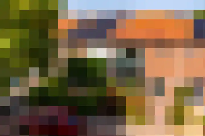 Nobelstraat 46 Eerbeek thumbnail 7