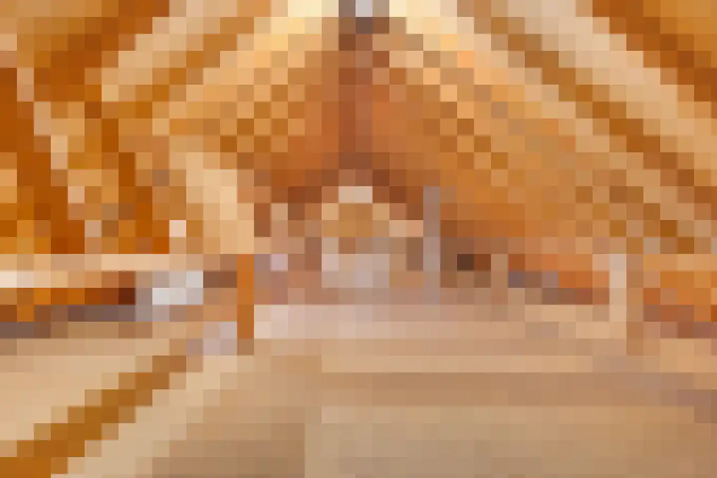 Nolderweg 4 Linde thumbnail 49