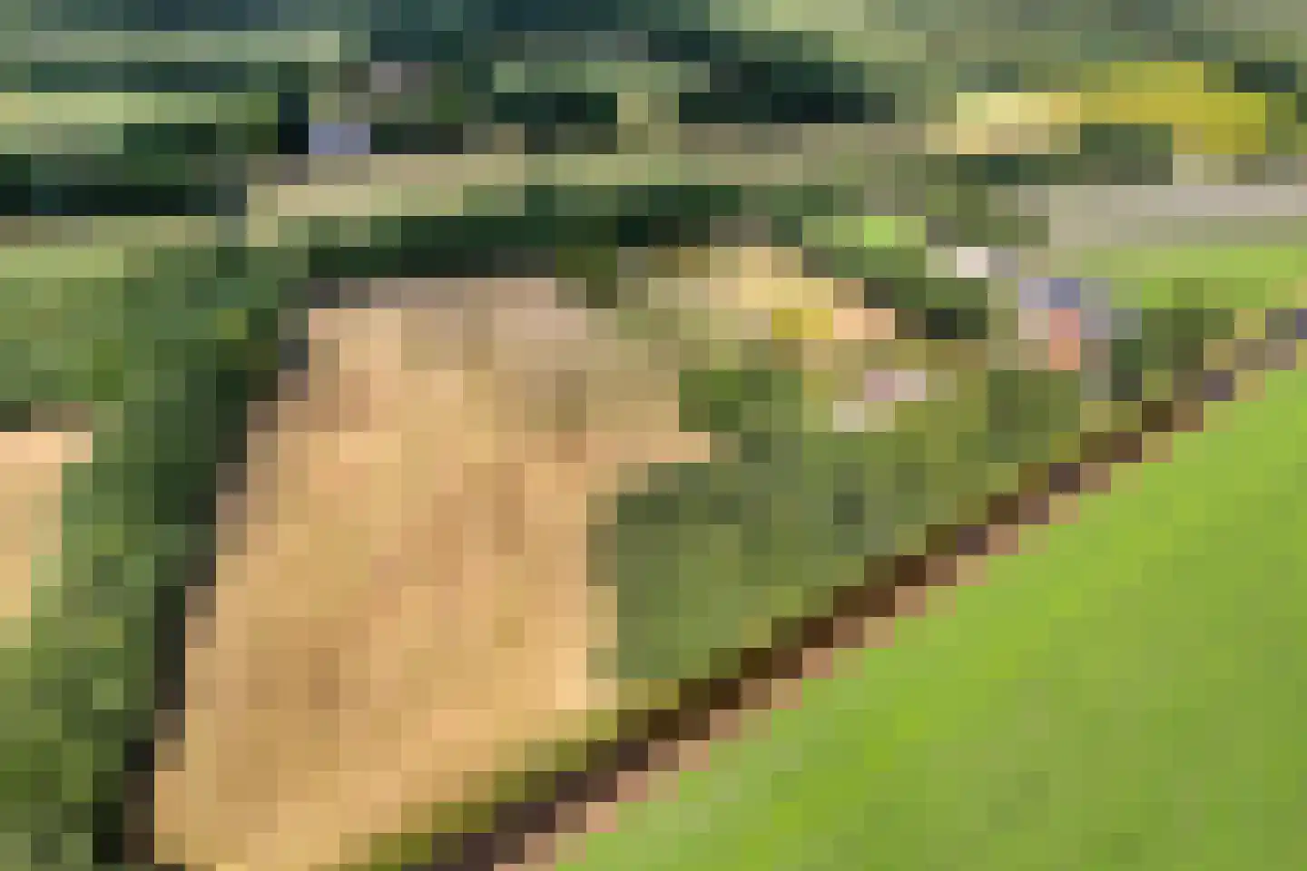Nolderweg 4 Linde thumbnail 5