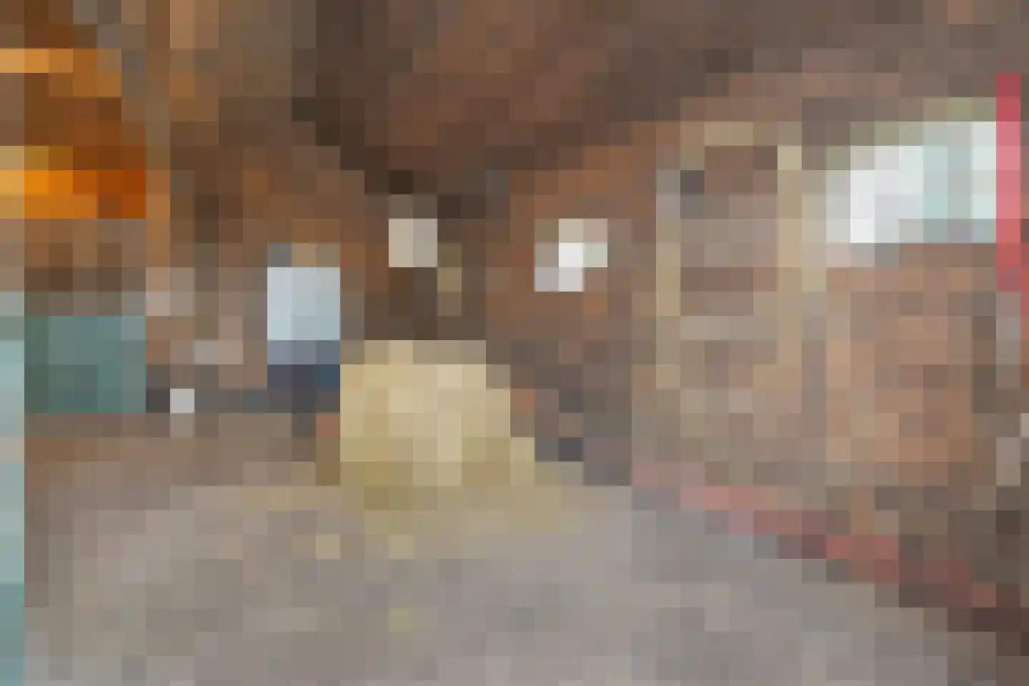 Nolderweg 4 Linde thumbnail 54