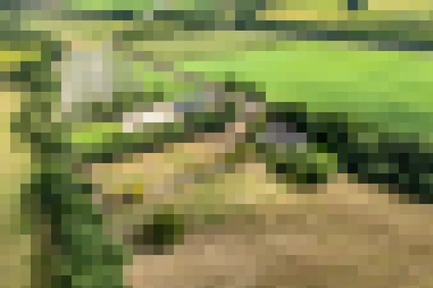 Nolderweg 4 Linde thumbnail 6