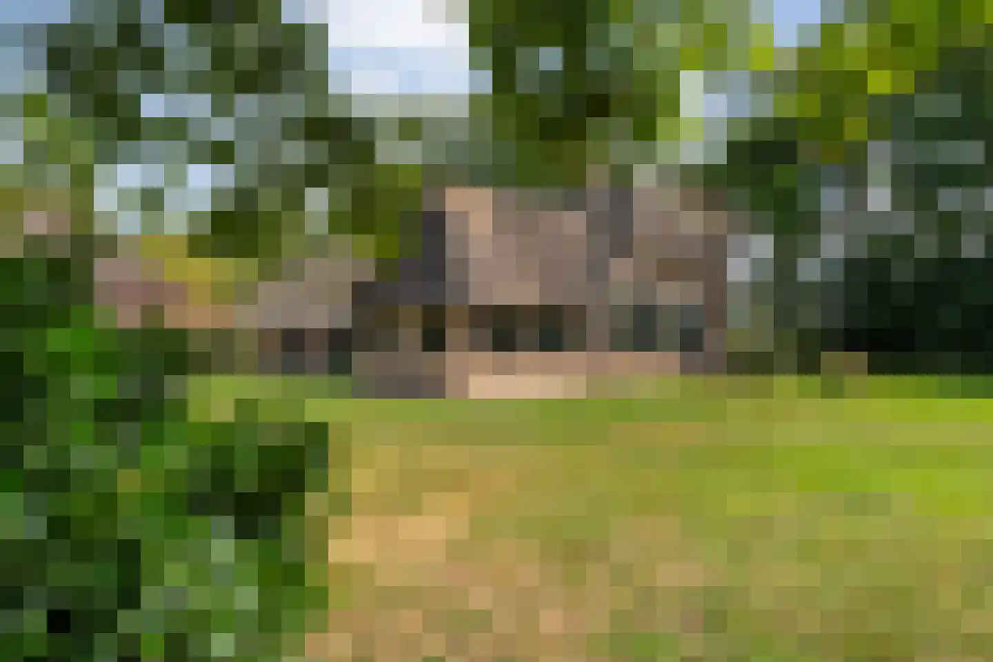 Nolderweg 4 Linde thumbnail 65