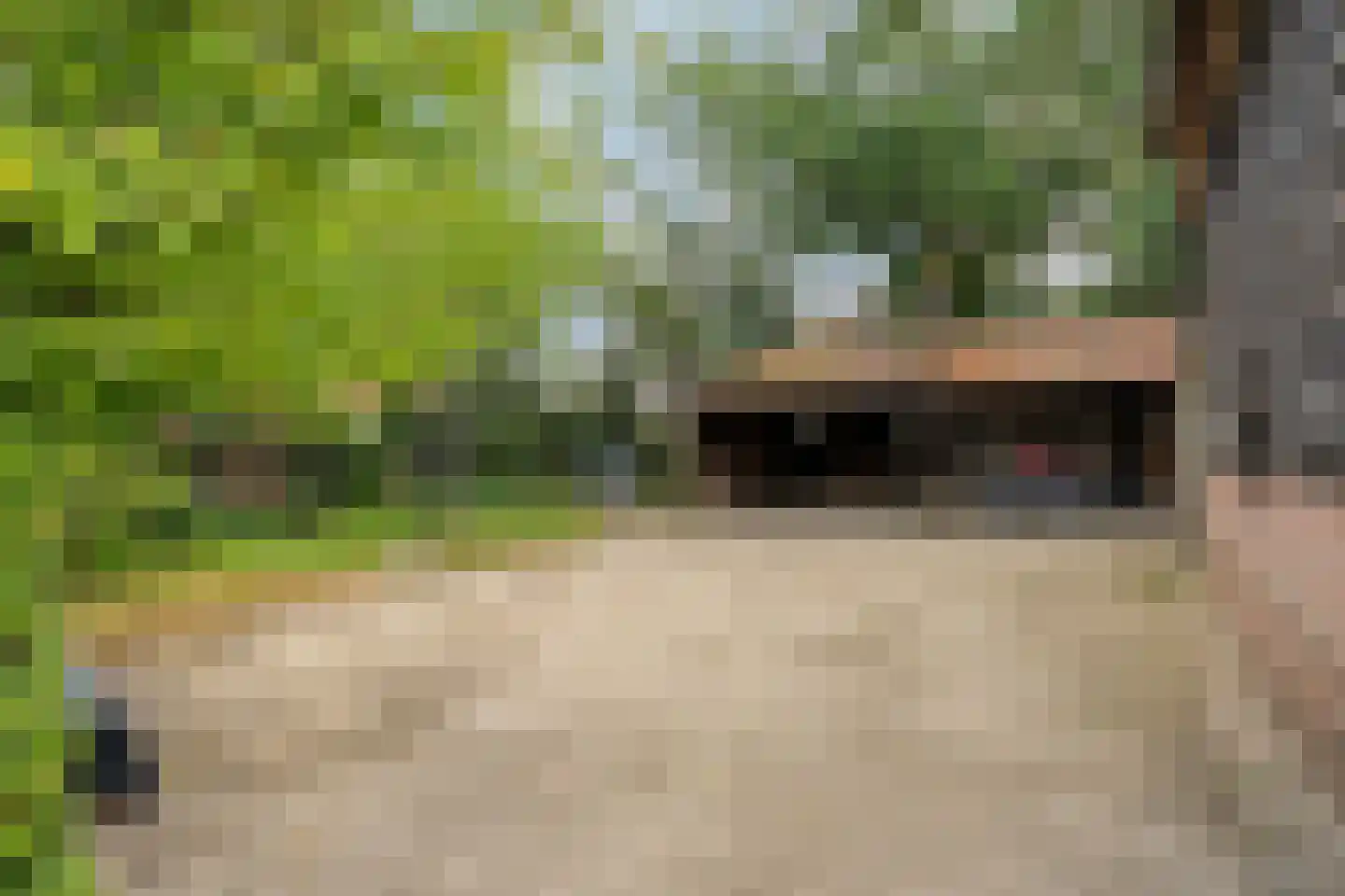 Nolderweg 4 Linde thumbnail 70