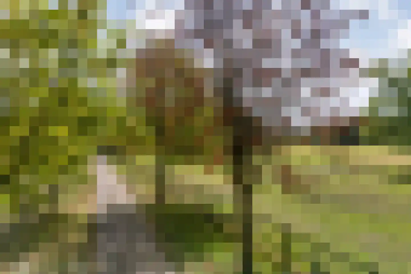 Nolderweg 4 Linde thumbnail 75