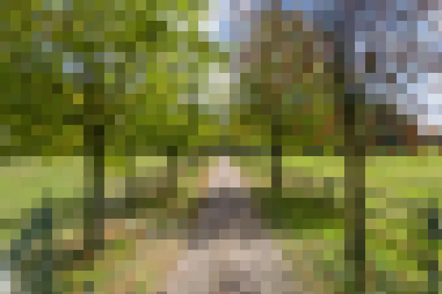 Nolderweg 4 Linde thumbnail 76